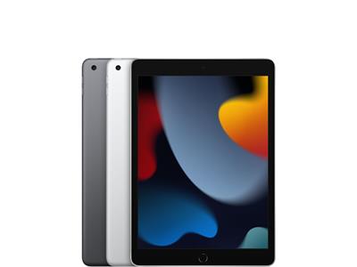 Apple 10.2-inch iPad Wi-Fi + Cellular 256GB - Silver