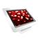 Maclocks iPad Executive Enclosure Kiosk - White