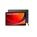 Samsung GALAXY TAB S9+ 5G 256GB GREY
