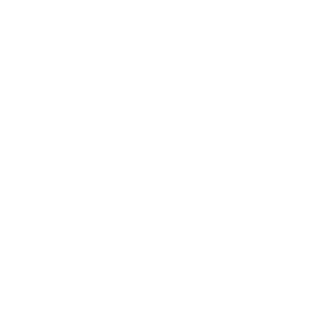 HP Purchase icon