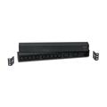 APC Rack PDU Basic 1U 16A 208&230V (10)C13 & (2)C19