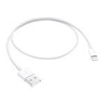 Apple Lightning to USB Cable (0.5m)