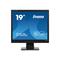 Iiyama P1905S-B2 19