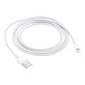 Apple Lightning to USB Cable (2 m)