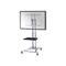 NewStar Mobile Flatscreen Floor Stand 27-60" 1 screen