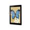 3M Natural View Fingerprint Fading Screen Protector for iPad 2/3/4