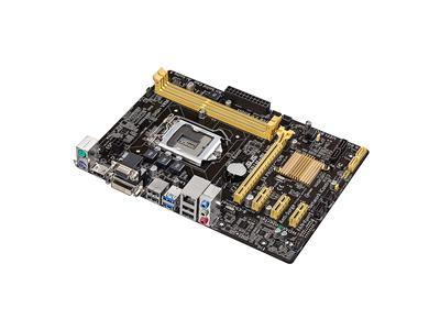 Asus H81M-PLUS S1150 Intel H81 DDR3 mATX