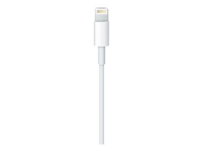 Apple Lightning to USB Cable (0.5m)