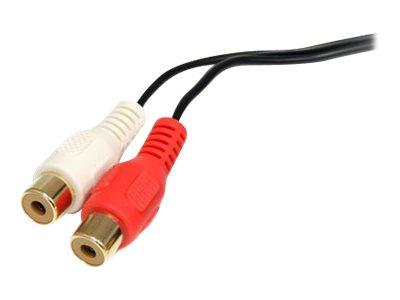 StarTech.com 6 ft Stereo Audio Cable - 3.5mm Male to 2x RCA Female