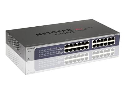 NetGear 24PT GIGABIT Plus Switch