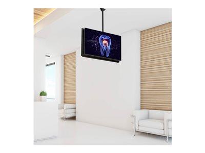 StarTech.com Ceiling TV Mount, Back-to-Back