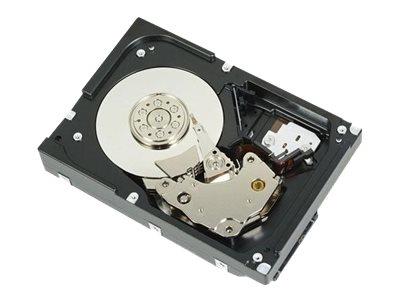 Dell 1TB 7.2K RPM SATA 6Gbps 512n 3.5 INCH Cabled