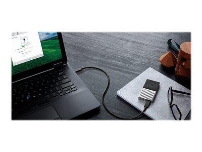 WD 256GB My Passport SSD USB 3.1 - Portable SSD