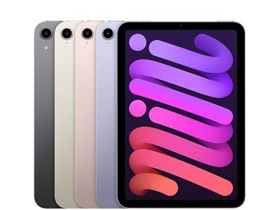 Apple iPad mini Wi-Fi + Cellular 256GB - Pink