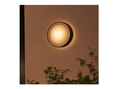 Philips Hue Daylo Wall Lantern - Black 1x15W