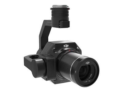 DJI Zenmuse P1 (ENT)