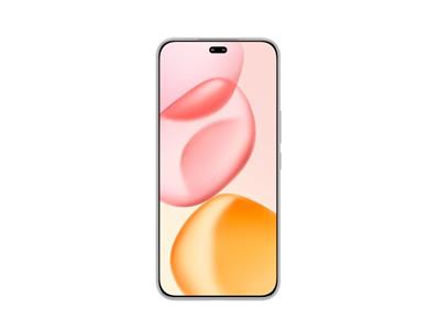 Honor 400 Pro - Lunar Grey