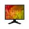 Eizo FlexScan 21.3