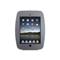 Maclocks iPad Space Enclosure Wall Mount - Silver
