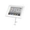 Maclocks iPad Executive Enclosure With Flex Arm - White