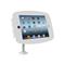 Maclocks iPad Space Enclosure With Flex Arm - White