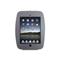 Maclocks iPad Mini Space Wall Mount Enclosure - Silver