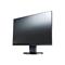 Eizo IPS Monitor 24