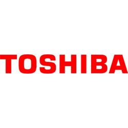 Toshiba 3 Year GOLD 'NBD' European Warranty