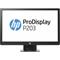 HP ProDisplay P203 LED Monitor 20