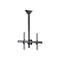 StarTech.com Ceiling TV Mount - Steel