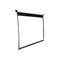 Elite Screens Manual Pull Down 150" (381cm) White