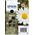 Epson Singlepack Black 18XL Claria Home Ink