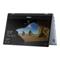 Asus Vivobook Flip TP412UA Core i3-7020 4GB 128GB SSD 14.1