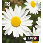 Epson Multipack 4-colours 18 EasyMail