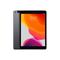 Apple 10.2-inch iPad Wi-Fi + Cellular 32GB - Space Grey