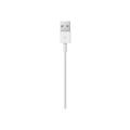 Apple Lightning to USB Cable (1m)