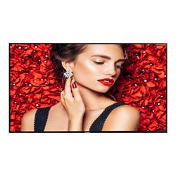 Philips 55BDL4031D 55 1920x1080 12ms DVI HDMI DisplayPort IPS LED Large Format Display