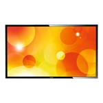 Philips 43BDL3010Q 43" 1920x1080 6.5ms VGA DVI HDMI USB LED Large Format Display