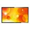 Philips 43BDL3010Q 43" 1920x1080 6.5ms VGA DVI HDMI USB LED Large Format Display