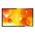 Philips 43BDL3010Q 43" 1920x1080 6.5ms VGA DVI HDMI USB LED Large Format Display