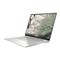 HP Elite c1030 Intel Core i5-10310U 8GB 128GB SSD 13.5" Chrome OS