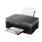 Canon PIXMA G2520 Colour Inkjet Multifunction Printer