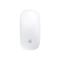 Apple Magic Mouse and USB-C to Lightning Cable
