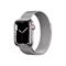Apple Watch Series 7 GPS + Cellular 41mm Silver Case and Loop