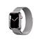 Apple Watch Series 7 GPS + Cellular 45mm Silver Case and Loop