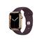 Apple Watch Series 7 GPS + Cellular 45mm Gold/Dark Cherry