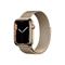 Apple Watch Series 7 GPS + Cellular 45mm Gold Case and Loop
