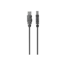 Belkin Premium Printer Cable - USB Type B to USB - 3m