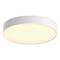 Philips Devere L Hue ceiling lamp white