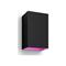 Philips Hue Resonate Wall Lantern - Black